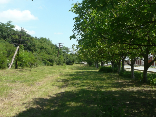 Intravilane, Ferme, str.Garii Balotesti