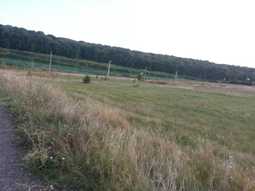 Cultivarea cerealelor si plantelor tehnice, a2, a2