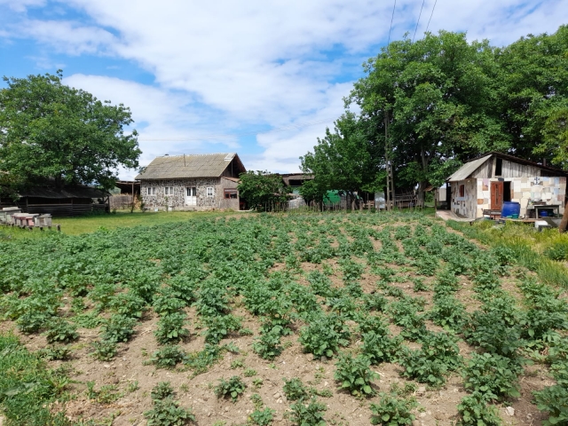 Ferme, Adjud, Adjud