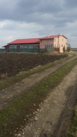 Hale productie, Movilița, DN2
