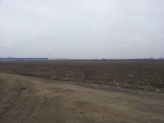 Pentru constructii mixte, aradului, aradului